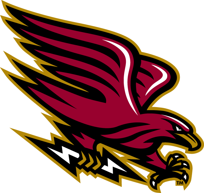 Louisiana-Monroe Warhawks 2006-Pres Alternate Logo v9 diy fabric transfer
